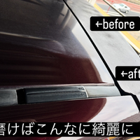 画像305